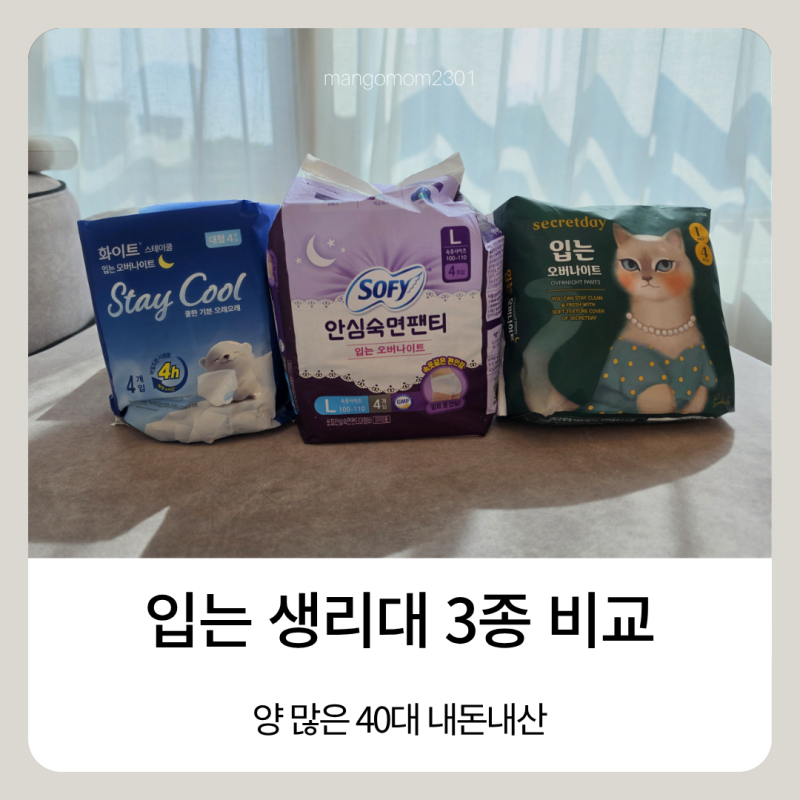 입는 생리대 3종 비교 후기 생리양 많은 40대가 낮과 밤에 써본 화이트 소피 시크릿데이