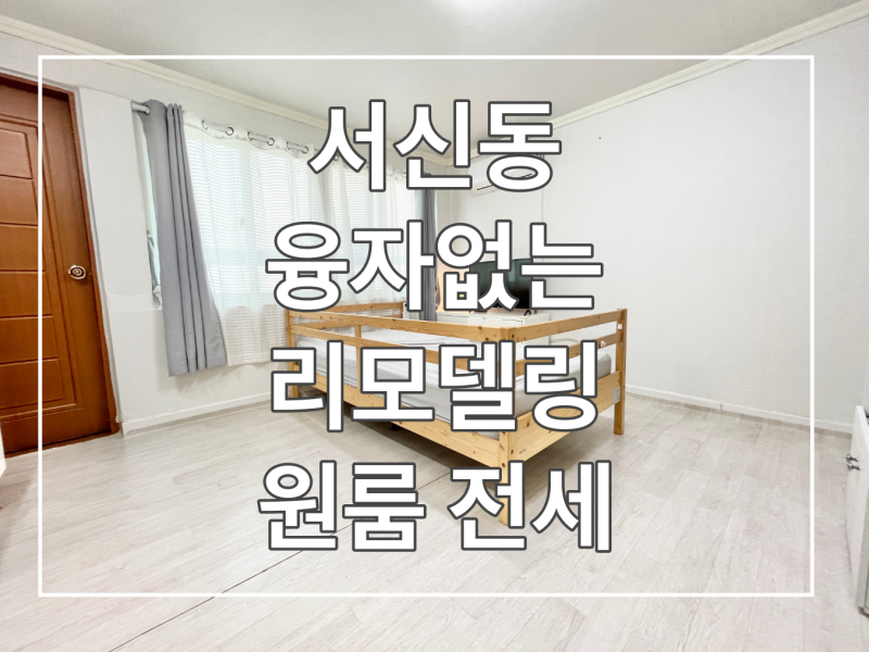 *전주 서신동 lh임대 융자없는 원룸 임대 전세 / 리모델링 완비