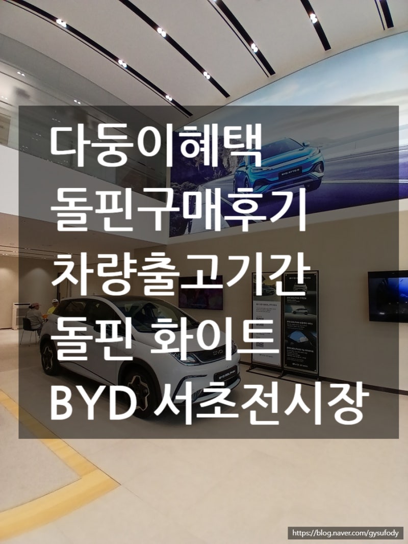 BYD 돌핀 한달 후기 / BYD Auto 서초전시장 구매/ 2000천만원 극초반(750km주행)