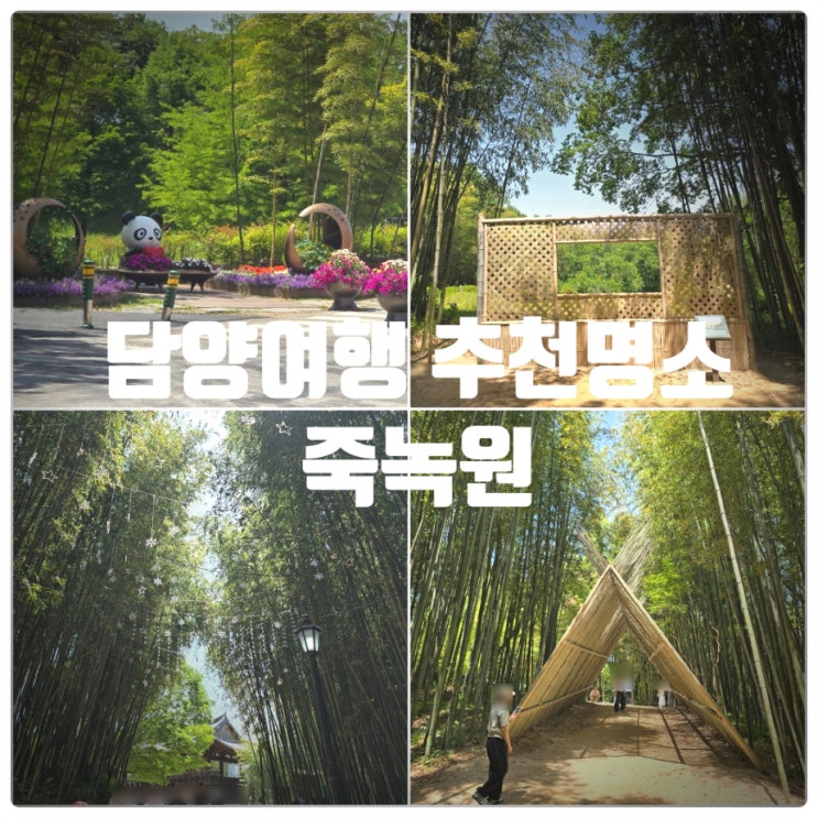 담양여행 추천코스 『 죽녹원 』 방문후기 (Feat. 대나무 성장속도, 죽순 많이 나는 시기)