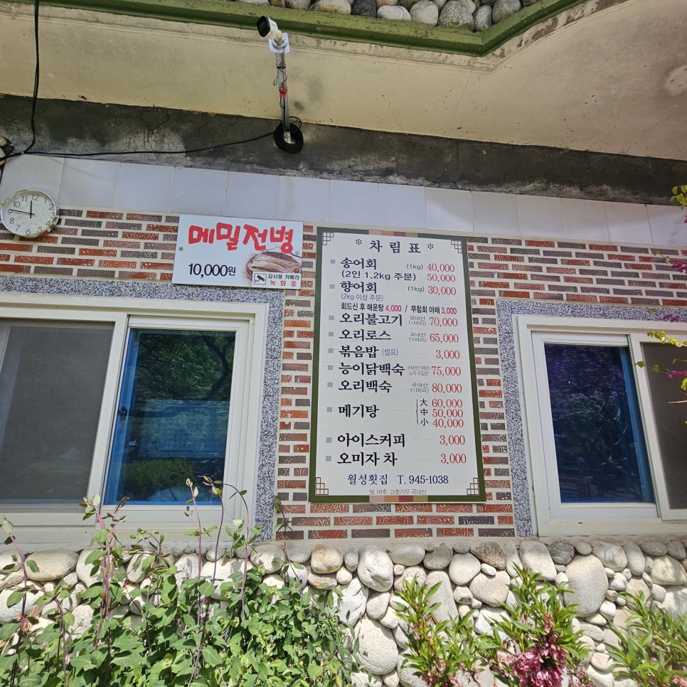 월성횟집 사진 2