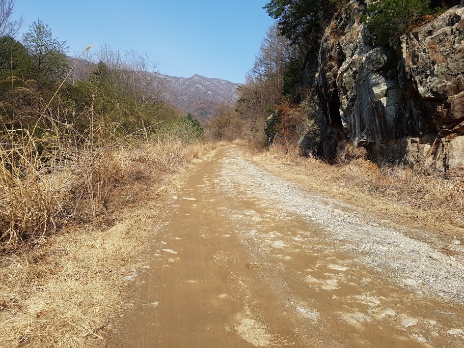 숲오름펜션 사진 6