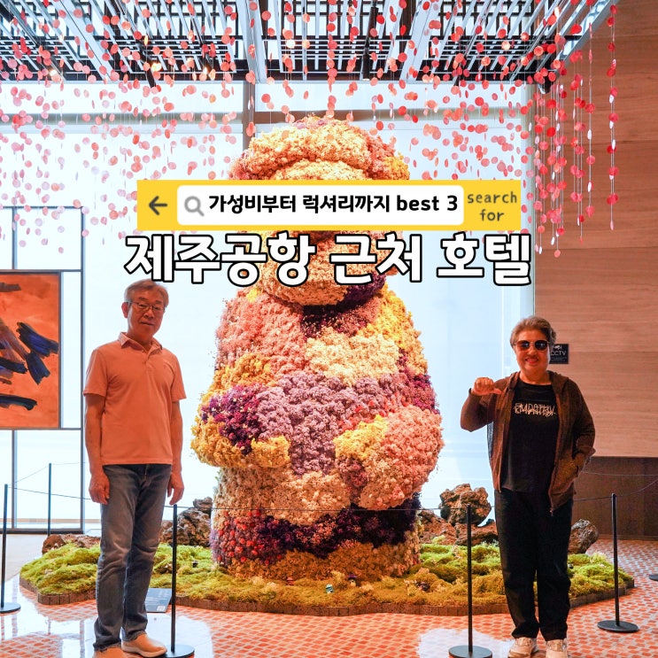  제주공항 근처 숙소 3곳 가성비 vs 럭셔리 제주도 호텔 추천
