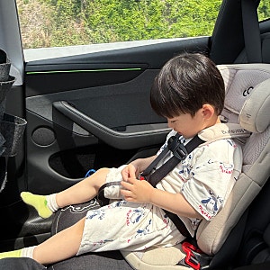순성 토들러카시트 시기와 추천 이유