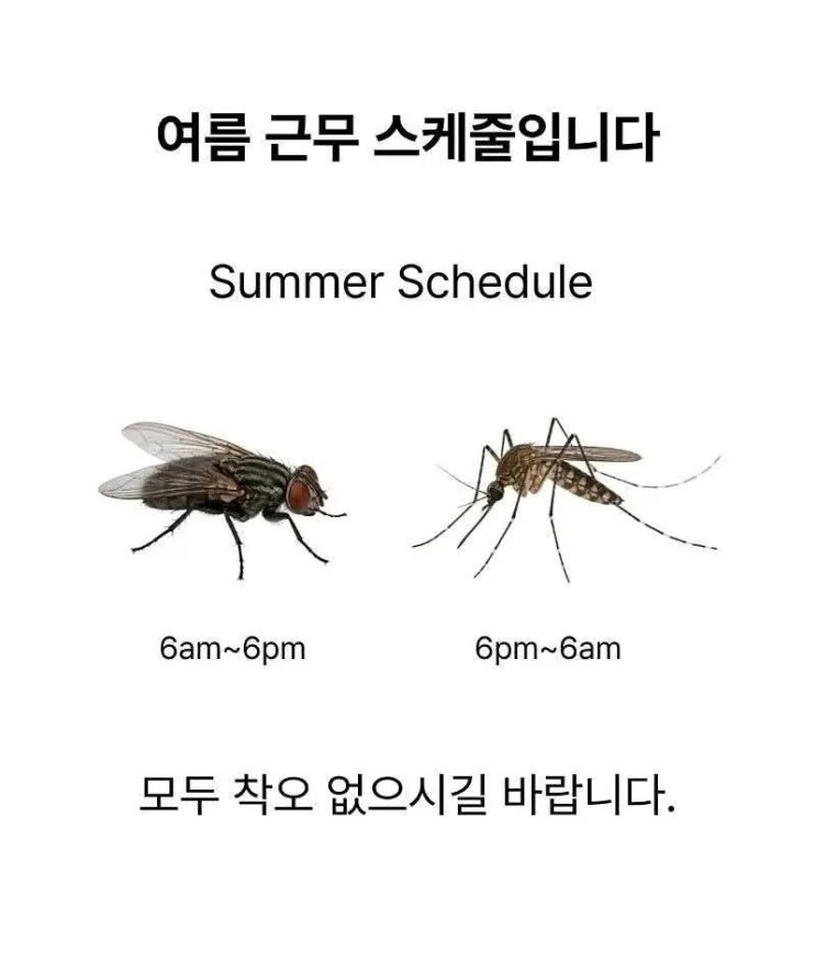  하절기 인사과에서 알립니다