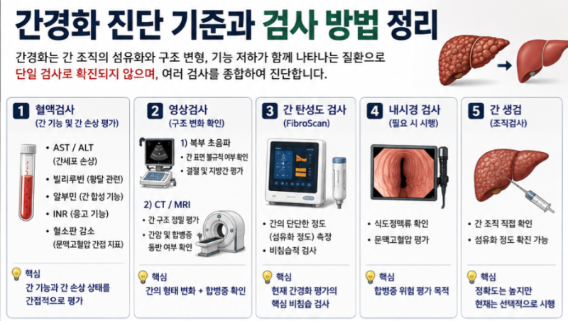 간경화 진단 기준과 검사 방법 정리