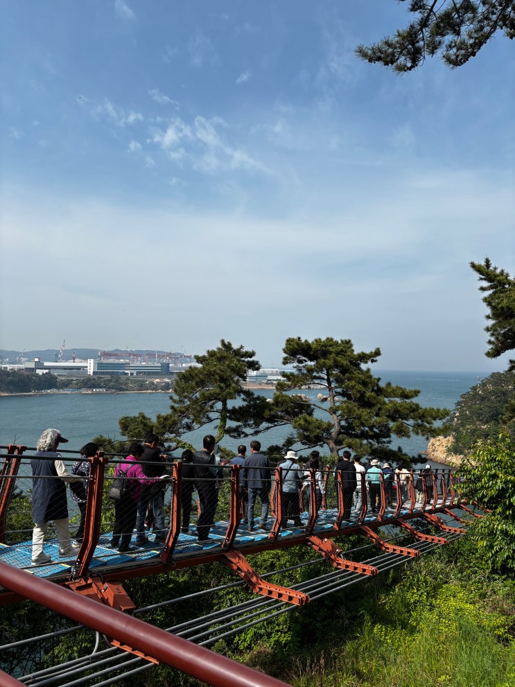  울산 아이/부모님과 함께 가기 좋은 무장애 관광지 대왕암 출렁다리 (주차, 운영시간, 휴장 안내, 다자녀카드 할인)