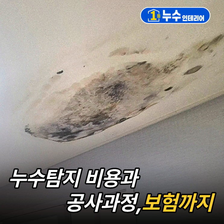  검단 누수｜누수탐지 비용과 공사 과정, 보험 처리까지
