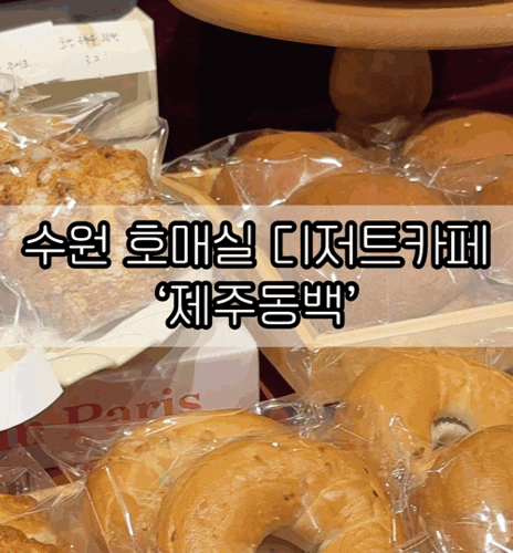 수원 아기랑 가기 좋은 카페 | 기갈대 & 수유실 없음 | 디저트가 맛있는 '제주동백