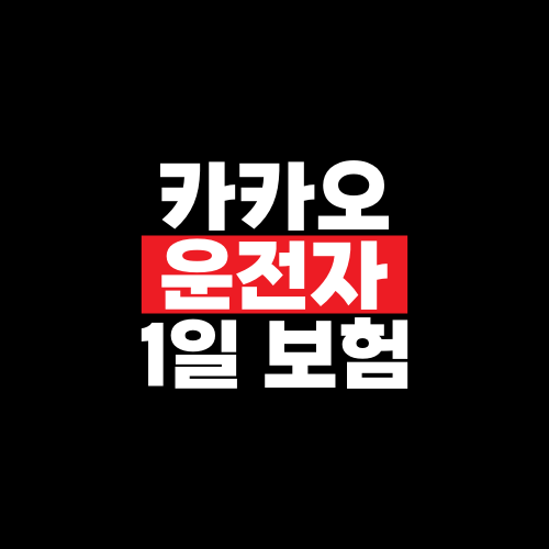 카카오 운전자 1일 보험, 하루만 가입할 때 확인할 점
