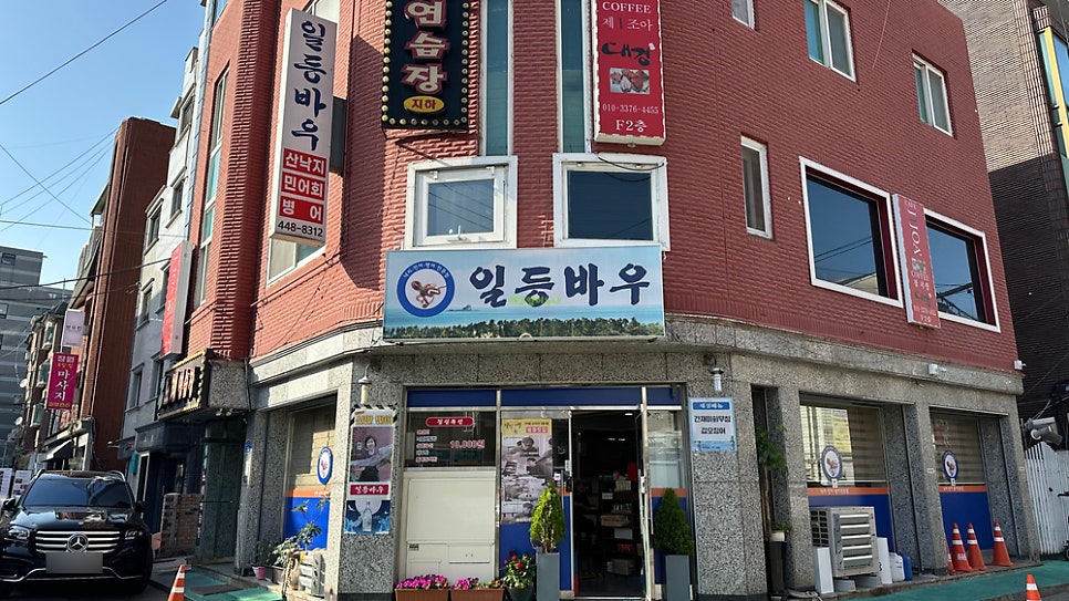 일등바우 사진 2
