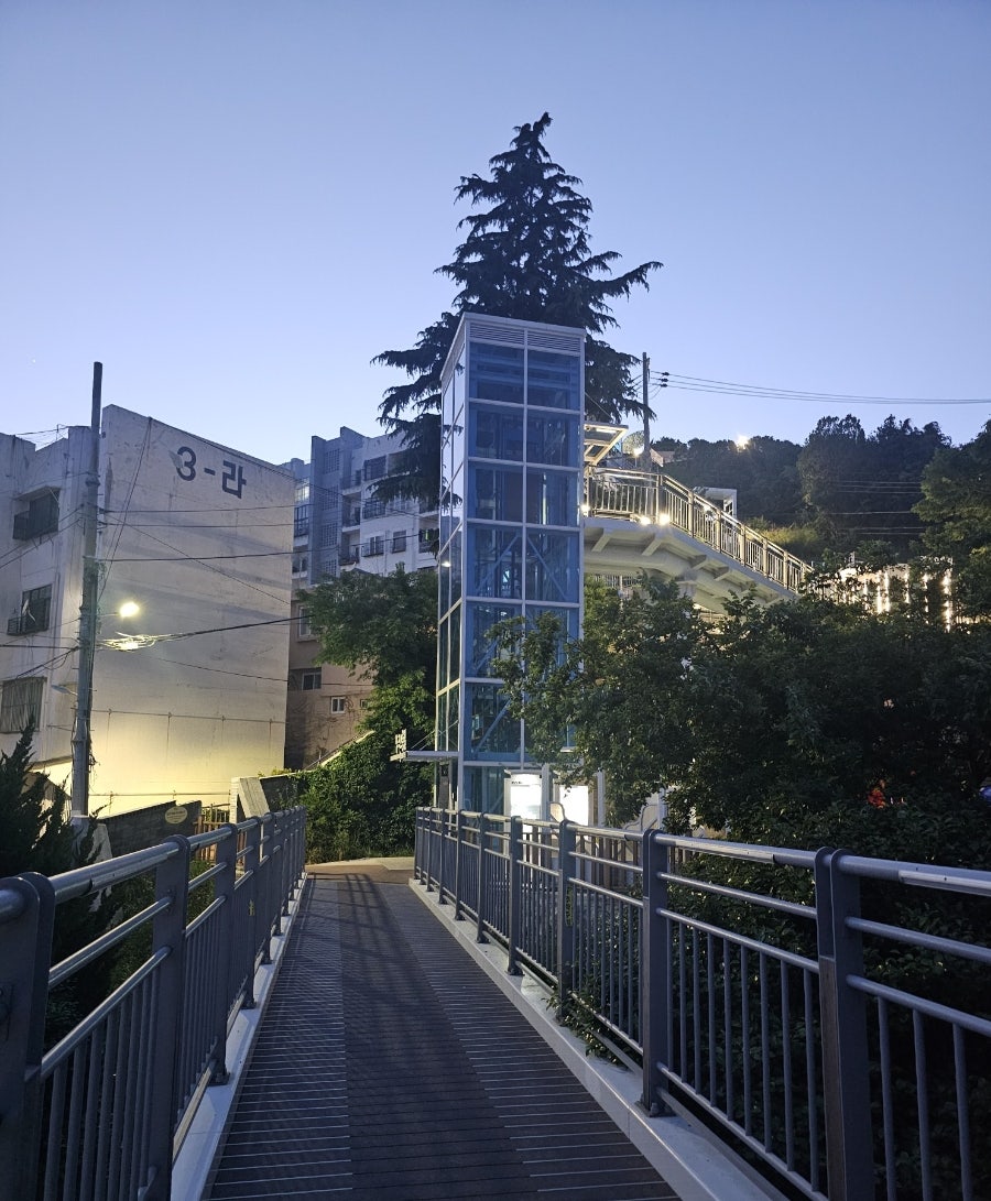 조은정 사진 2