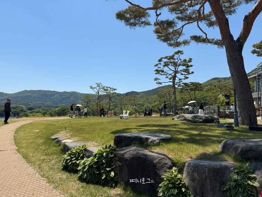 테라베오 사진 3
