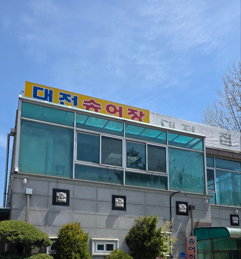 대전송어장 사진 1