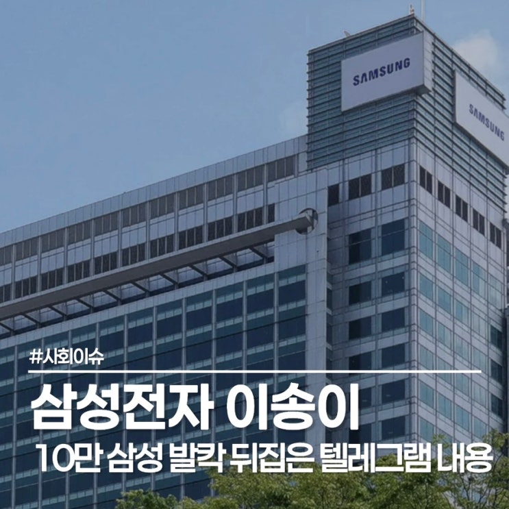  삼성전자를 없애버릴 수 있겠어? 이송이 부위원장 프로필 학력