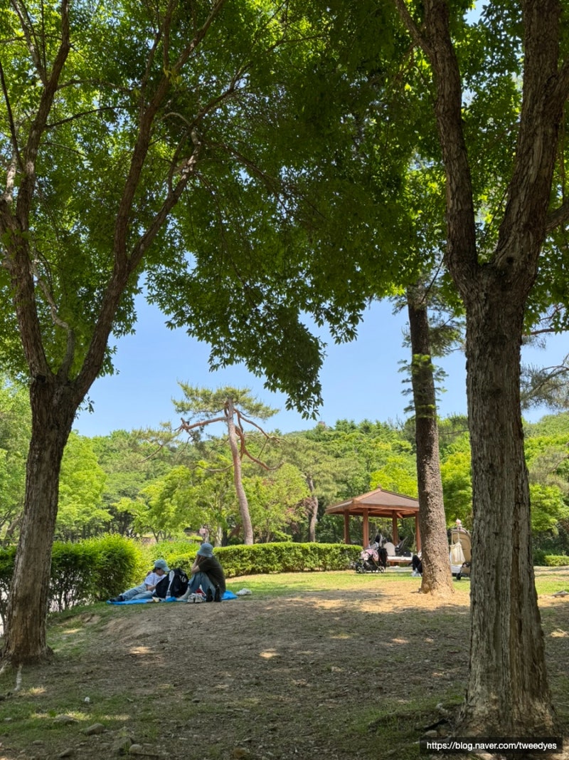 서울대공원 동물원 돗자리 명당 피크닉 명소 꿀팁 도시락 지도