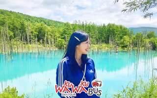  북해도 비에이 후라노 프리미엄 버스투어 - 리무진 VIP 와쿠와쿠 1호선