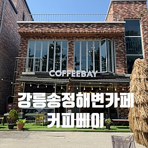 내돈내산 강릉송정해수욕장 카페 커피베이 강릉송정해변점