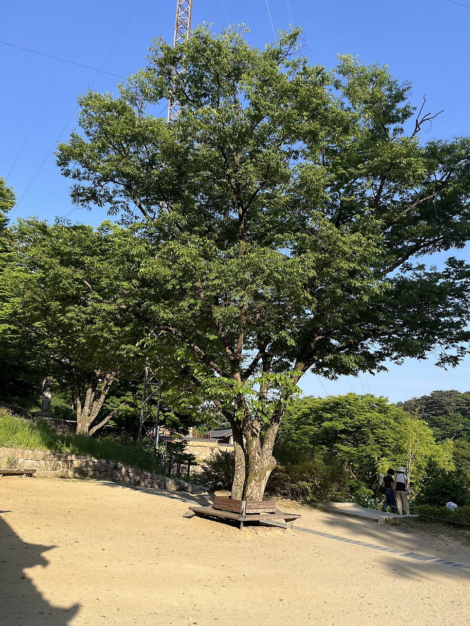 영암댁 사진 5