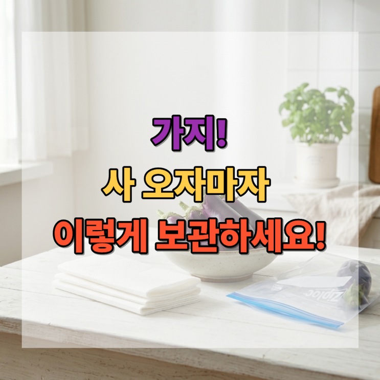  가지 보관법 사 오자마자 이렇게 보관하세요! 물러짐 막는 냉장 냉동 꿀팁