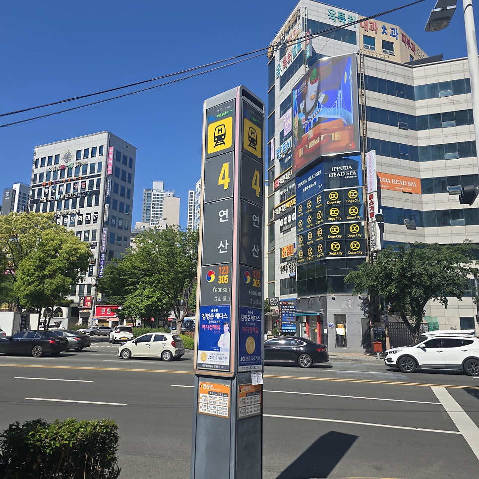 벌떼집 사진 3