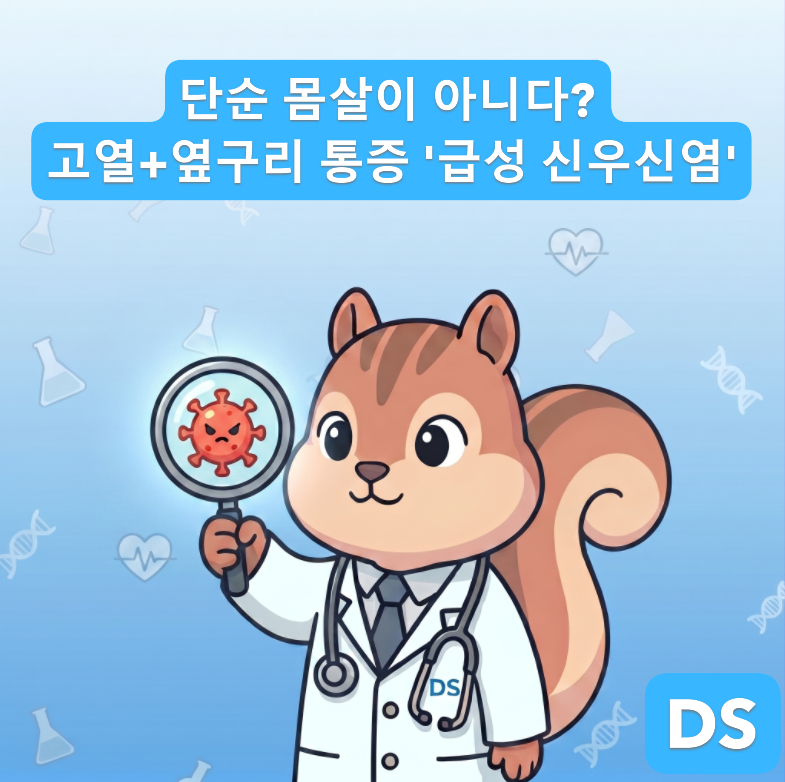 [전문의] 고열과 옆구리 통증? 감기 몸살 아닌 '급성 신우신염' 증상과 진단검사 총정리 (진단....