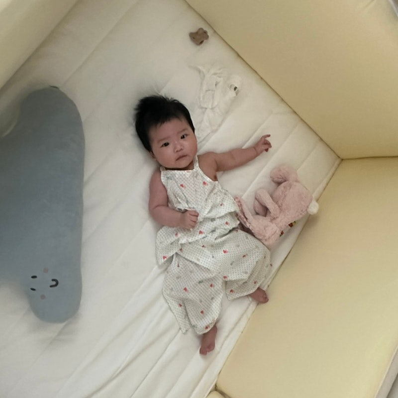 한샘 샘키즈 하이가드 데이베드 범퍼가드 내돈내산(5면형, 알러지케어 매트릭스, 커버, 쿠션 ....