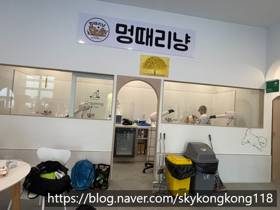 멍때리냥 김포점 사진 3