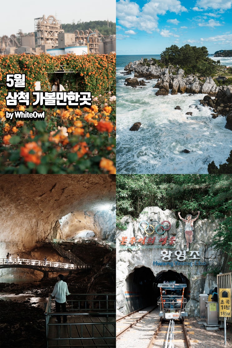 동해 삼척가볼만한곳 환선굴, 장미축제, 레일바이크 등 여행코스