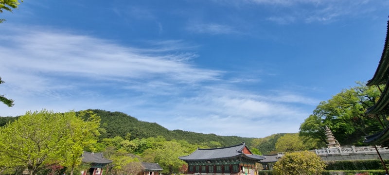 [ 사찰예절, 법당예절 ] 제대로 배우기