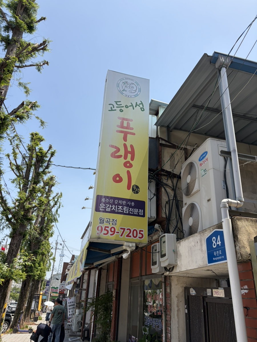 고등어섬푸랭이 사진 2
