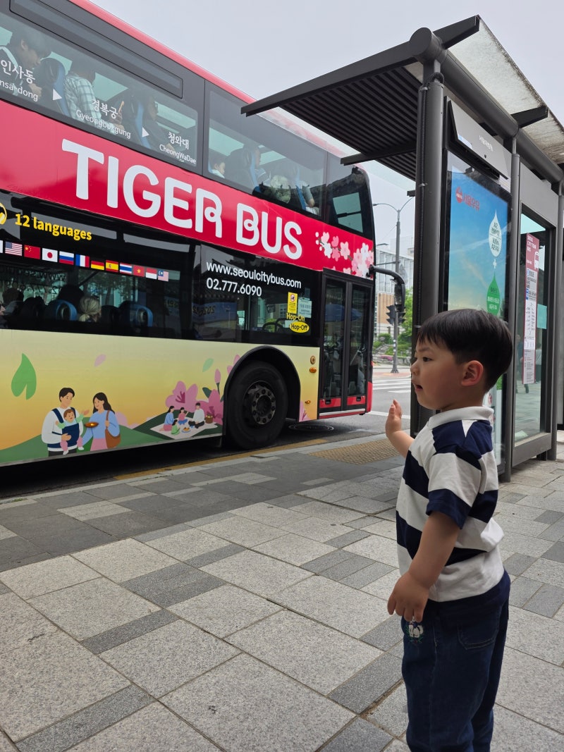 4살 아이랑 서울 시티투어 버스 빨간버스 2층버스 후기