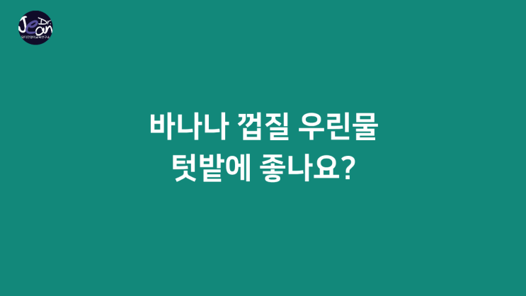  바나나 껍질 우린  물, 텃밭에 좋나요?