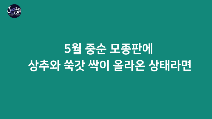  5월 중순  모종판에 상추와 쑥갓  싹이 올라온 상태라면