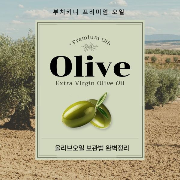 올리브오일 보관법 여름철 온도·용기부터 냉장고 장소까지 완벽 정리
