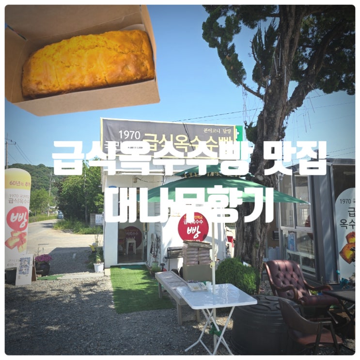 1970 국민학교 급식옥수수빵 전문점 『 대나무향기 』 급식옥수수빵 솔직후기