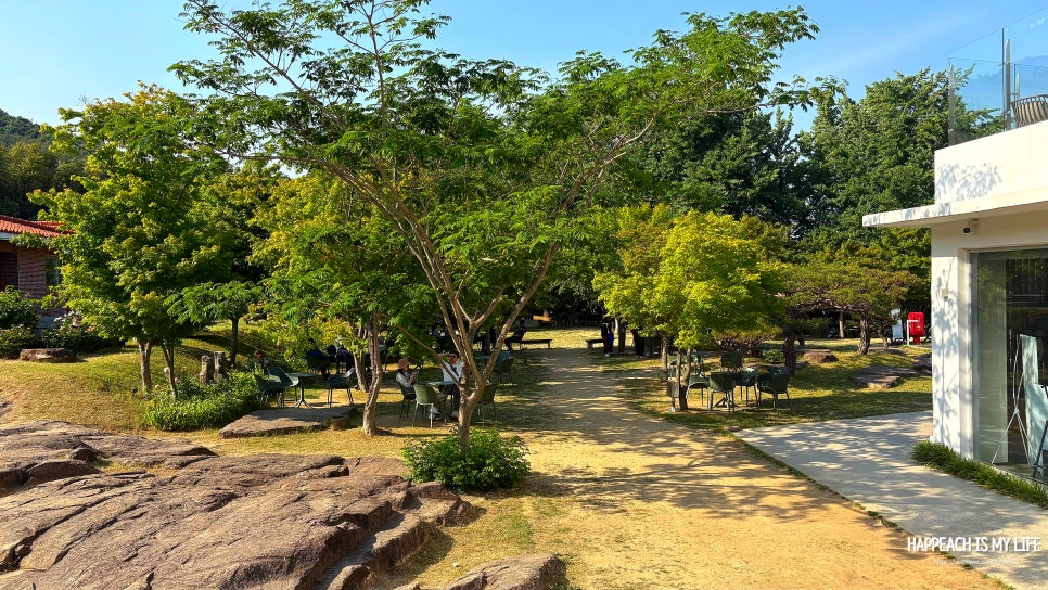 카페 홍 사진 6