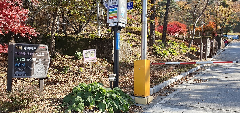 효양산 사진 3