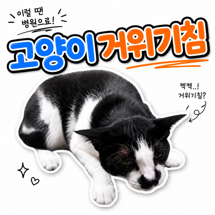  고양이 거위기침 그냥 넘기면 안 되는 이유 | 계절별 원인과 병원 가야 할 신호 총정리