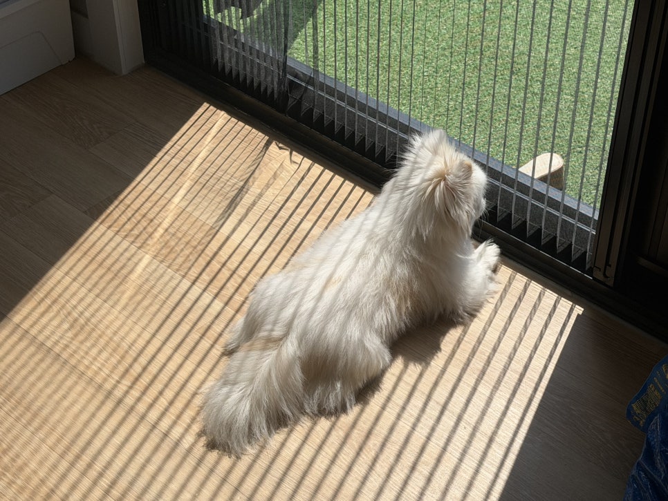 메일빈 무인카페 사진 4