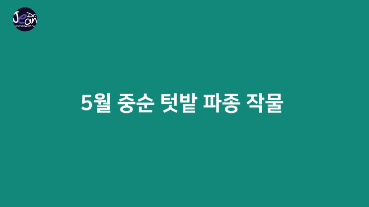  5월 중순 텃밭 파종 작물