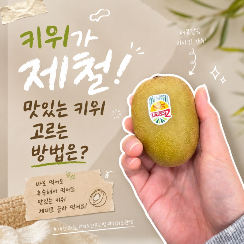 키위가 제철! 맛있는 골드키위 고르는법 후숙방법
