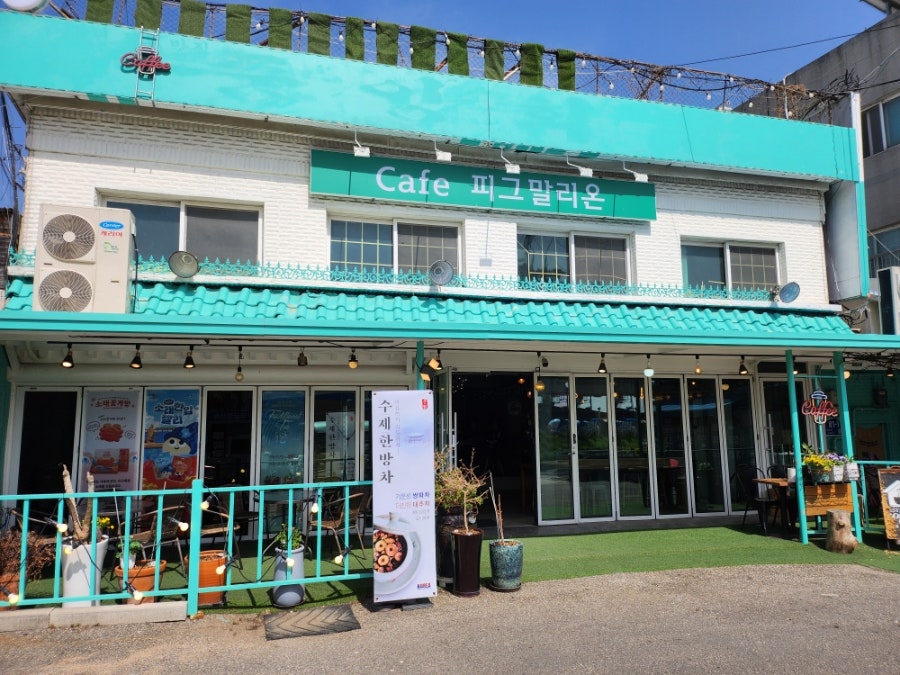 피그말리온 사진 2