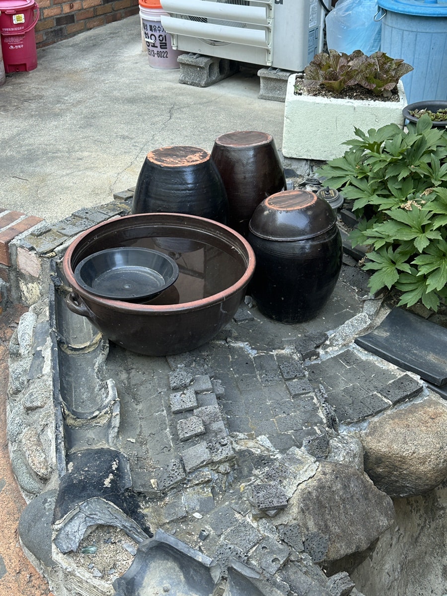 정원집 사진 5