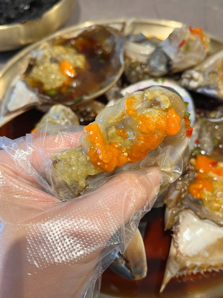 제주 공항 근처 맛집 노형동 현지인추천 신사꽃게당 아이랑 식당 방문