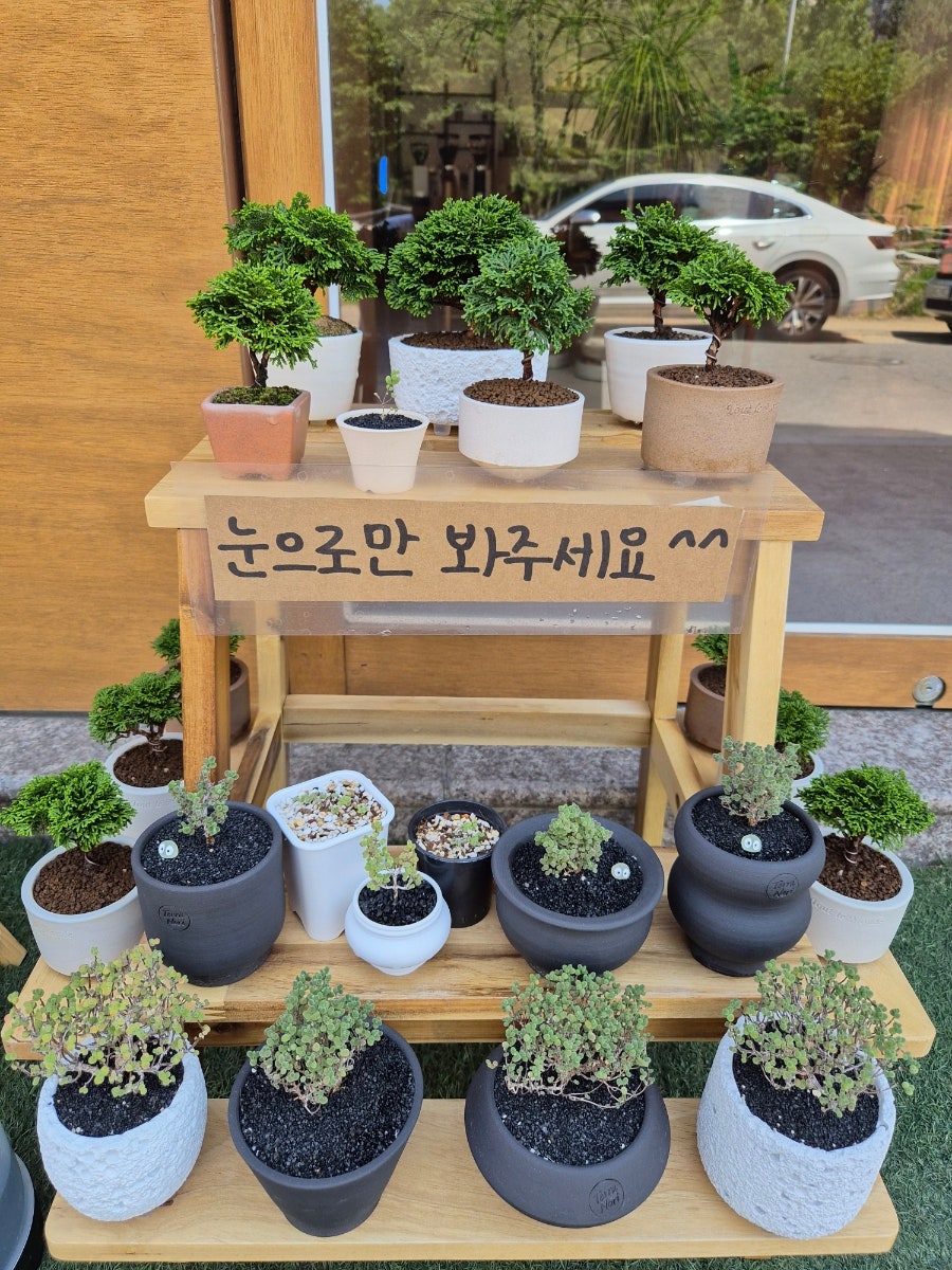 카페인소사이어티 사진 5