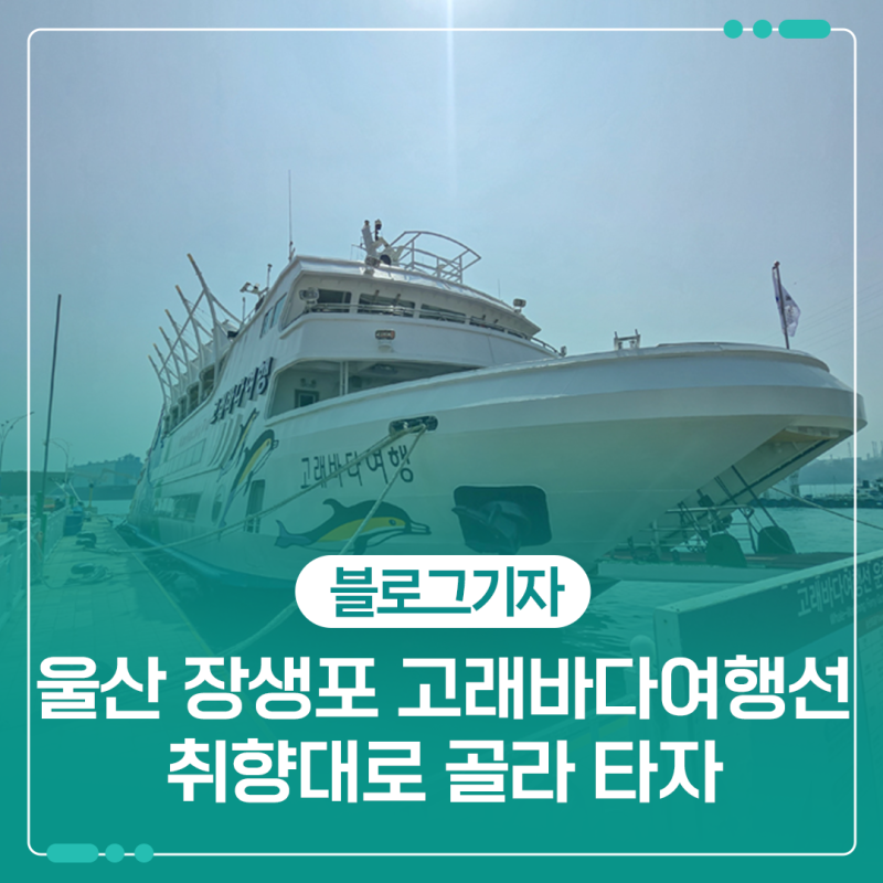 울산 가족 나들이로 좋은 장생포 고래바다여행선 취향대로 골라 타자