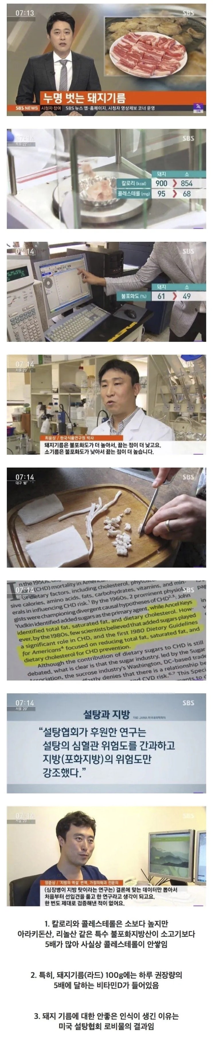 돼지고기 비계가 건강에 좋은 이유