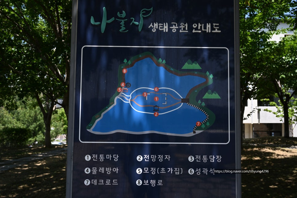 새못 사진 2
