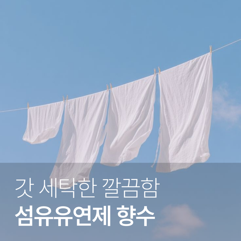 섬유유연제 향수 추천, 갓 세탁한 듯 깨끗한 향 모음